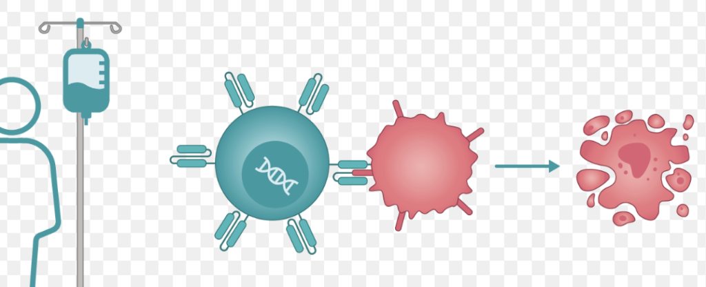 Screenshot 2024 07 09 at 9.12.21 a.m.